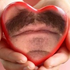 Mush Tash