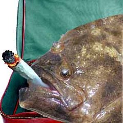 Weed Fish