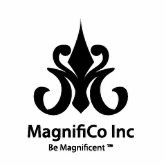 MagnifiCo Inc