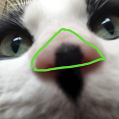 what a head