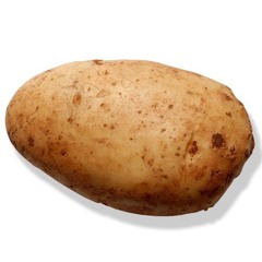Intellectual Potato