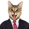 MrKitten1753