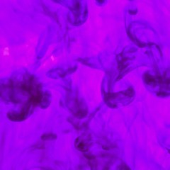 IᖇᗩᑕEᗷITᑕᕼEᔕ