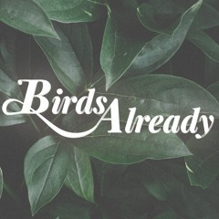 Birds Already