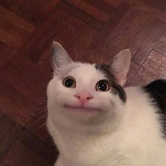 Da  Sha