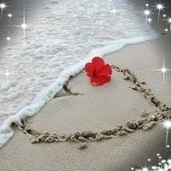 ALi Sayed