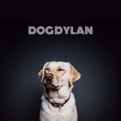 DOG DYLAN