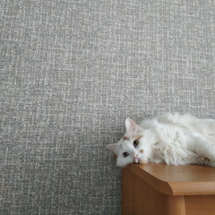 Надежда Бузник