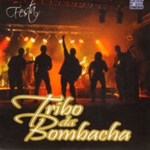 Tribo Da Bombacha Oficial’s avatar