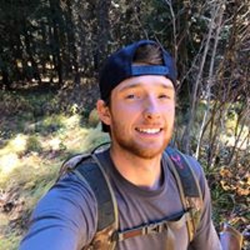 Stream Taylor Montee music Listen to songs, albums, playlists for