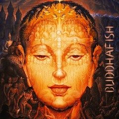 Buddhafish