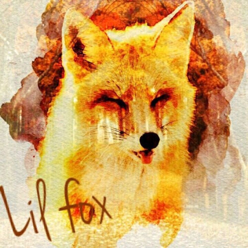 lil fox’s avatar