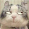 A Fang