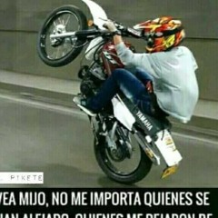 johsep 586