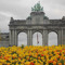 Ame Bxl