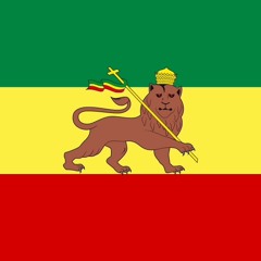 Jonathan Vandenbroucke