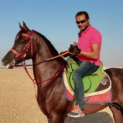 YASSER ZOHDY