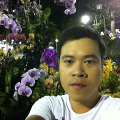 nam le phuong