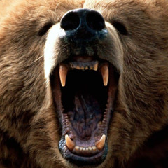 Barbaric Bear