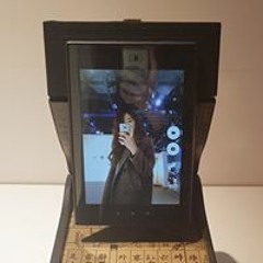 이다해