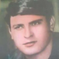 Dalia L Saftawy