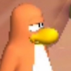 noo