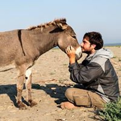 Stream Dimiter Kenarov Music Listen To Songs Albums Playlists For