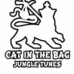 A1.Tommy The Cat Ganja Warriors_out soon on Cat in the bag 06
