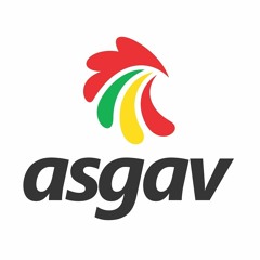 ASGAV / OVOS RS