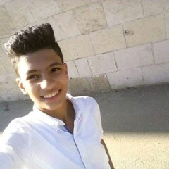 Tarek Muhameed