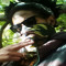 Sight Ali Cuba 91113