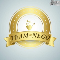 1teamnego