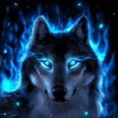 WolfBeats