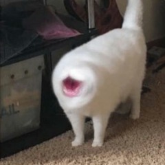 BHD