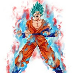 User 221113563