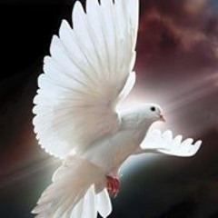 Hyam Alsawaf