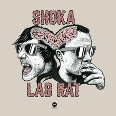 Shoka Lab Rat