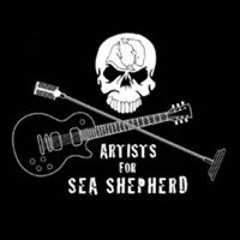 Shepherd Dolphinbycatch