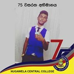 Themiya Meegaswaththa