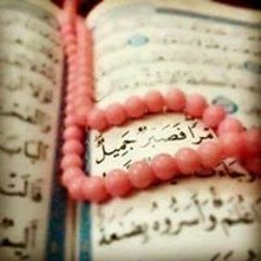 Shiry Hamdy Mohamed