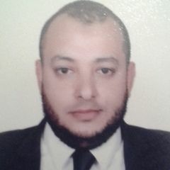 Waleed Hegazy