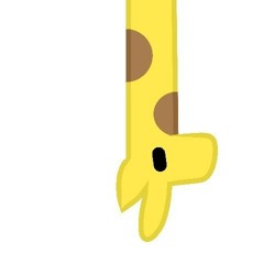 Hurrican't Tortilla