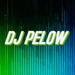 Dj PELOW