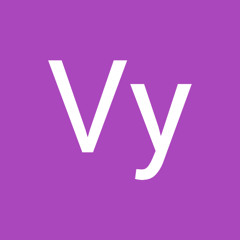 Vy Le Thanh