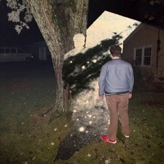 Biological Stepfather