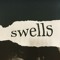 swells831