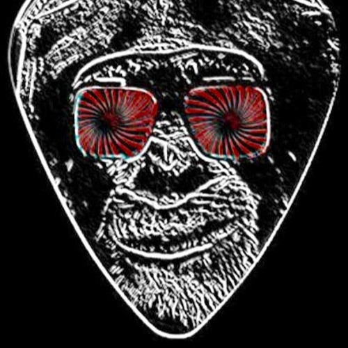 Guitar Monkey’s avatar