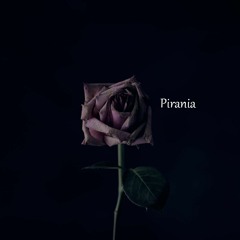 PIRANIA LABEL
