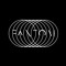 FANTOM