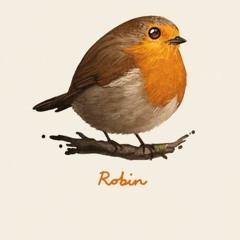 Robin